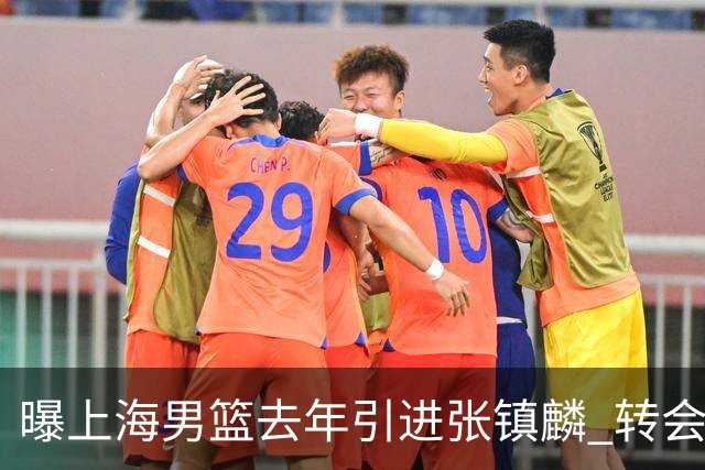 曝上海男篮去年引进张镇麟 转会费投入超5000万